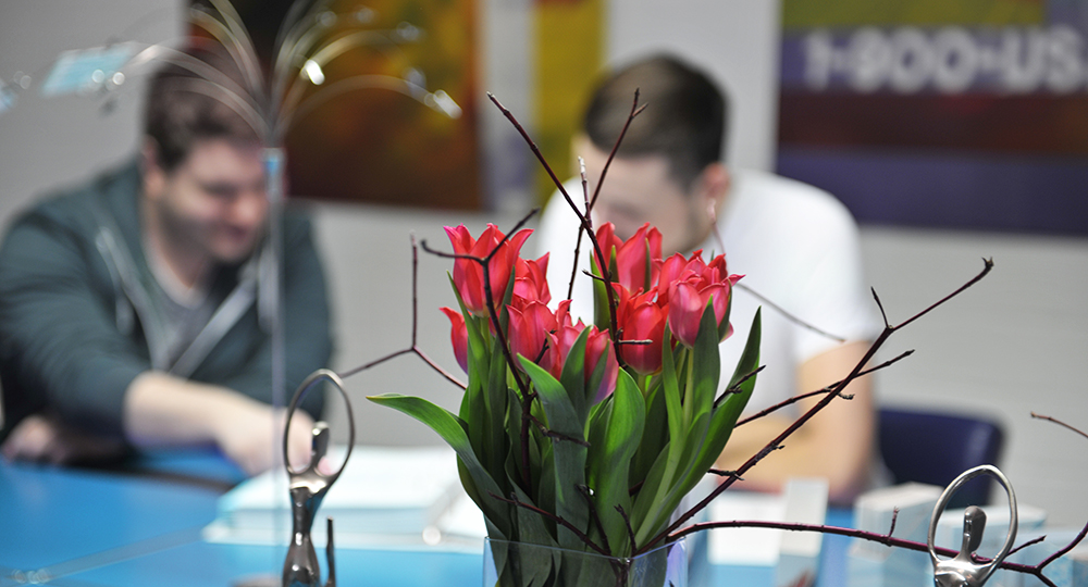 Entwicklung, Gestaltung + Satz